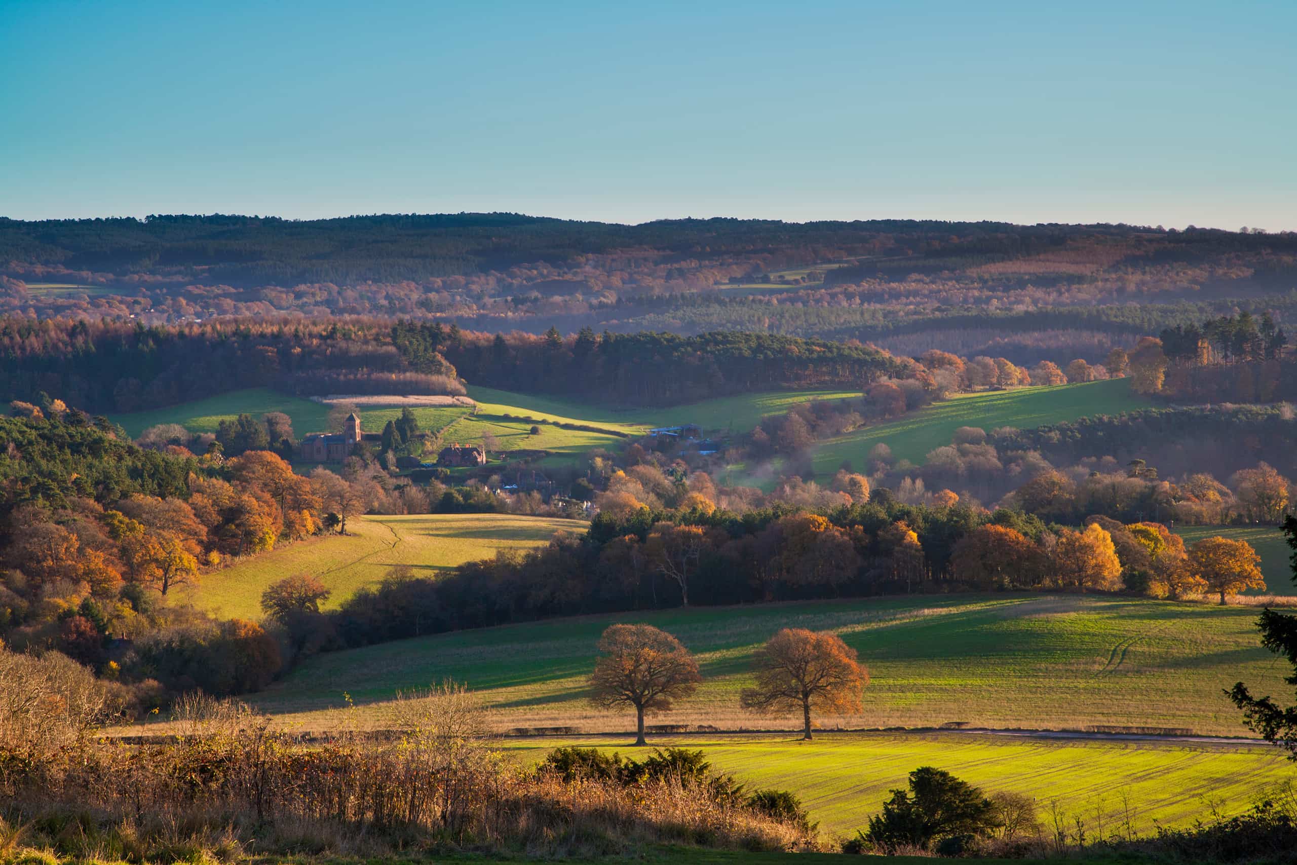 Panoramic view of autumn Landscape Newlands Corner, Surrey, England