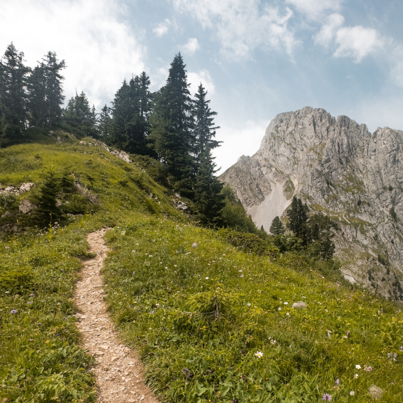 Hiking Trail in Switzerland