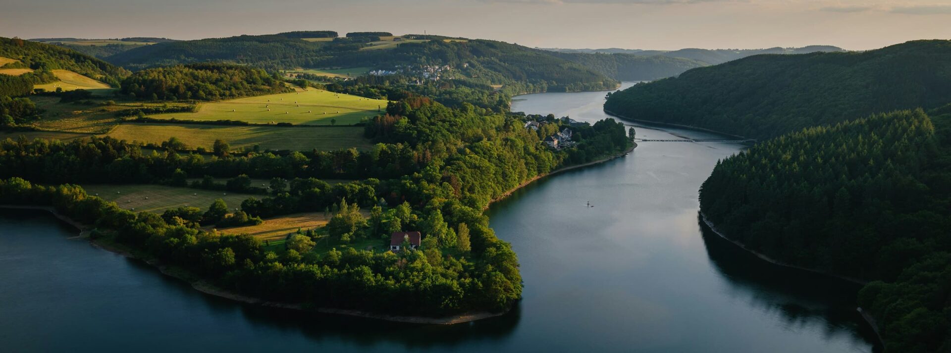 green trees near river