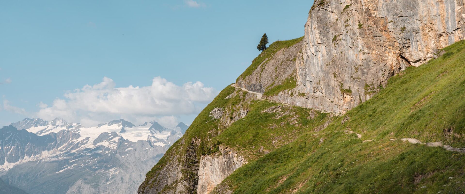 mountain path with snow capped mountains in background